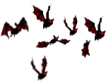 Butterfly - color - High Download Count PNG