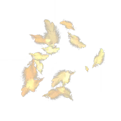 Feathers - lightweight - Lossless PNG