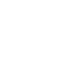 Clover - lucky - Transparent Layer PNG