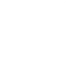 Leaf - High Quality PNG - Highly Rated PNG