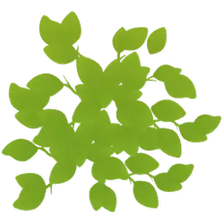 Green Leaves - Free for Commercial Use PNG - green