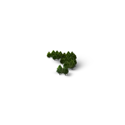 Broccoli - Fast Download PNG - vegetable