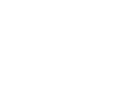 Shell - outline - Transparent Layer PNG