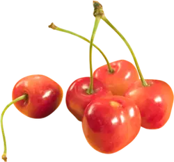 Cherry - fresh - PNG