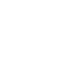 Four Leaf Clover - Highly Rated PNG - plant