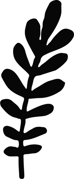 Leaf - No Background PNG - branch