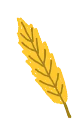 Leaf - yellow - High Resolution PNG