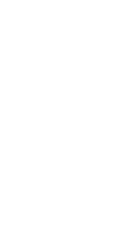 Butterflies in Flight - photography - No Background PNG