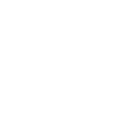 Carnation - simple - line - Transparent Background PNG