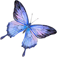Blue Butterfly - colorful - Free for Commercial Use PNG
