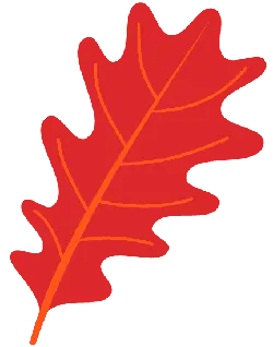 Oak Leaf - red - PNG