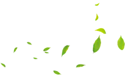 Leaves Falling - falling - Curated PNG