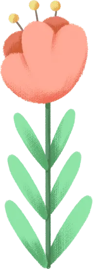 Pink Flower - illustration - Designer's Pick PNG
