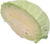 Cabbage - nutritious - High Resolution PNG
