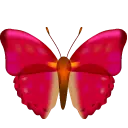 Red Butterfly - beautiful - High Resolution PNG