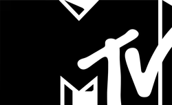 Black Owl - High Resolution PNG - bird - Pic 8