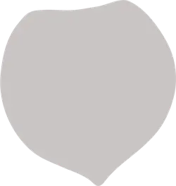 Gray Irregular Shape - gray - abstract - Transparent Background PNG