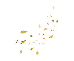 Leaves Falling - peaceful - autumn - PNG