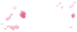 Pink Petals - Highly Rated PNG - Lossless PNG