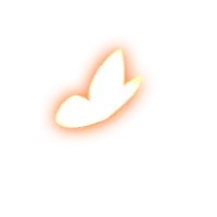 Butterfly - beautiful - Curated PNG