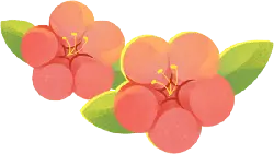 Peach Blossom - Highly Rated PNG - Fast Download PNG