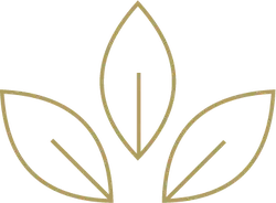 Clover - environmental protection - nature - PNG Images