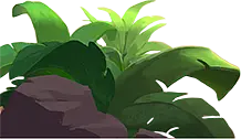 Green Plant - Designer's Pick PNG