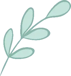 Clover - fresh - leaves - High Resolution PNG