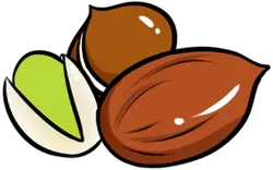 Pistachio - green - Recommended PNG