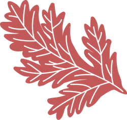 Oak Leaf - red - nature - No Background PNG