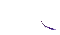 Purple Feather - lightweight - purple - Transparent Layer PNG