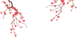 Plum Blossom - High Download Count PNG - flower