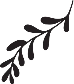 Pine Branch - life - PNG