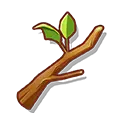 Branch - growth - plant - Transparent Layer PNG