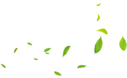 Falling Leaves - falling - Lossless PNG