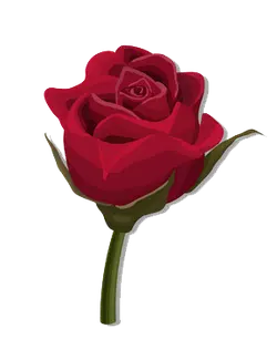 Red Rose - PNG - red - Pic 1