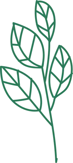 Leaf - simple - green - PNG