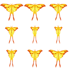 Yellow Butterfly - symmetrical - Transparent Background PNG