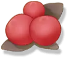 Three Cherries - leaves - PNG