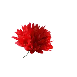 Red Flower - flower - High Quality PNG