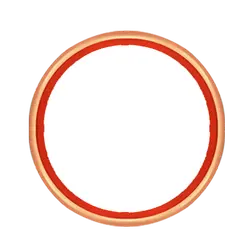 Sun - star - circle - High Resolution PNG