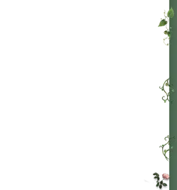 Green Vine Pattern - growth - No Watermark PNG