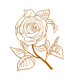 Rose - line art - rose - Free Download PNG