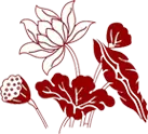 Lotus Flower - white - lotus plant - Free Download PNG