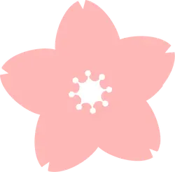 Highly Rated PNG - Cherry Blossom - flower