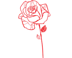 Red Rose - art - simple - High Resolution PNG
