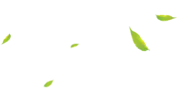Leaves Falling - autumn - Lossless PNG