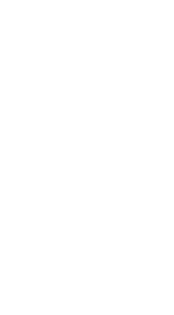 Black Cat - High Download Count PNG - black - Pic 18