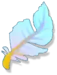 Feather - natural - High Resolution PNG