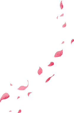 Pink Petals Falling - minimalism - Free Download PNG
